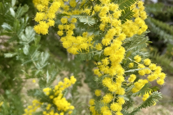 4月スタート！ご希望曜日・時間帯での受付は3/15まで！