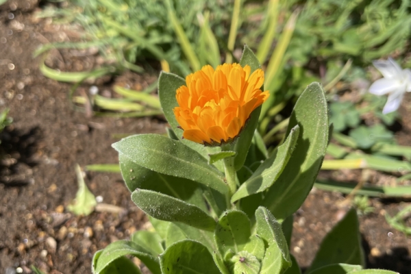 伴奏者賞おめでとう＆伴奏のコツってあるの？